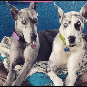 Meet your Posher, Tori